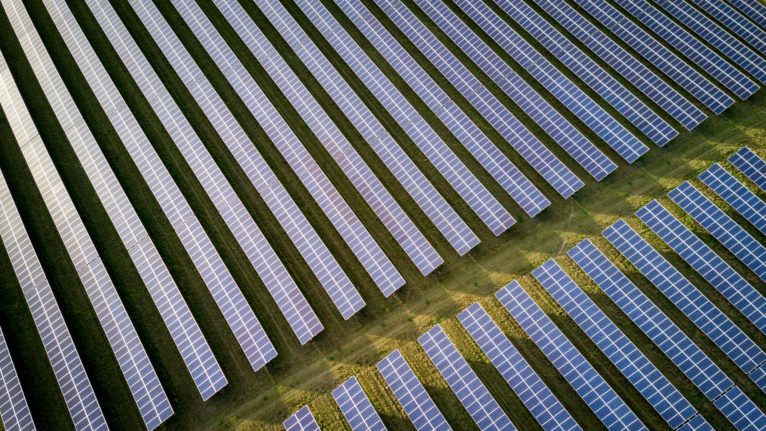 Solar Energy Accounted for Half of All Global Energy Capacity Additions in 2021